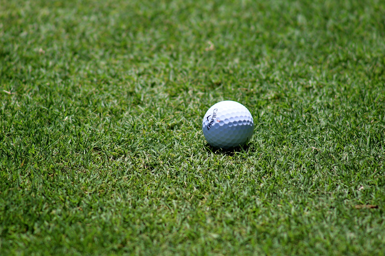 SA Schools Ambrose Golf | 2022