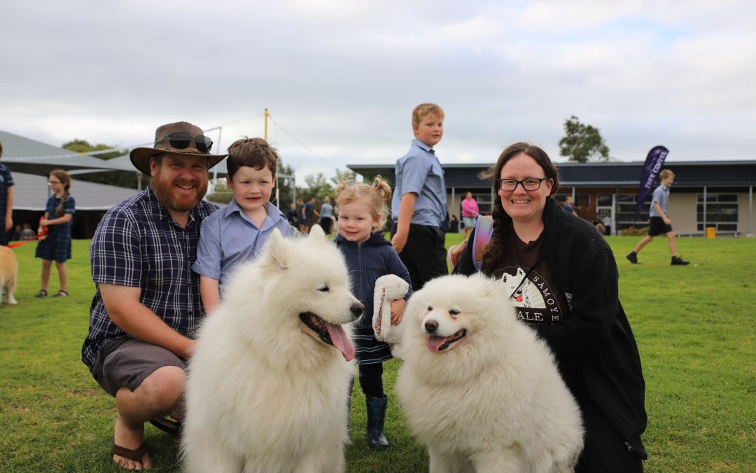 Canines, Coffee and Community: A welcome return for Dogs In The Quad