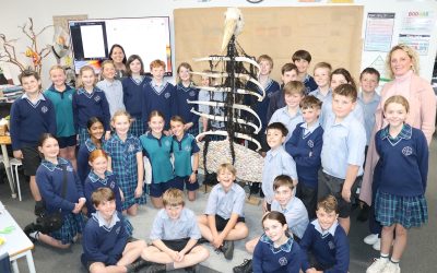 School scarecrow steals the Royal Adelaide Show